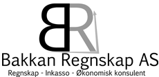 Logo til Bakkan Regnskap AS